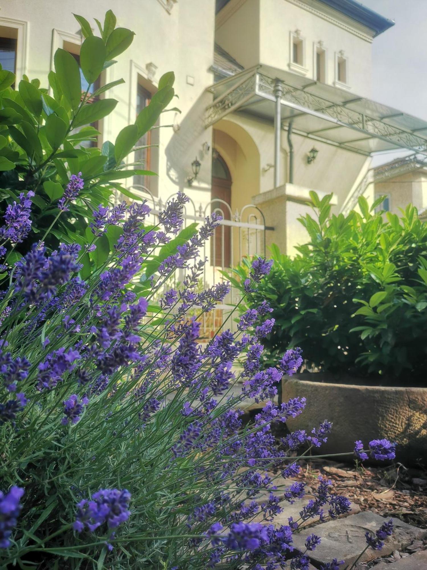 Kuria Apartman Budapest With Free Parking Экстерьер фото